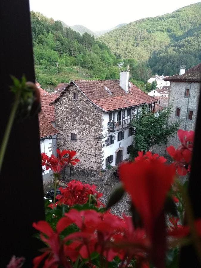 Casa Rural Elurkoia Isaba Dış mekan fotoğraf